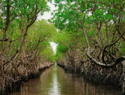 Desa Saliki Akan Punya Objek Wisata Baru