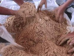 Atasi Kenaikan Harga Pakan Ikan, Pemkab Kukar Akan Bangun Pabrik di Loa Kulu