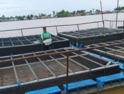 Desa Ponoragan Siap Jadi Produsen Bibit Ikan untuk IKN Nusantara