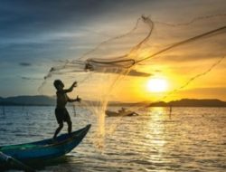 Samboja Andalkan Sektor Perikanan dan Rumput Laut, Ini Alasannya