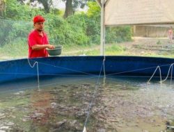 Desa Purwajaya Kukar Sukses Kembangkan Sektor Perikanan