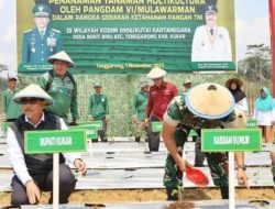 TNI dan Pemkab Kukar Kerjasama Perbaiki Sarana Prasarana Pertanian, 6 Masalah Petani Teratasi