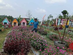 Desa Tani Bhakti di Kutai Kartanegara Berinovasi dengan Agrowisata dan Rencana Greenhouse