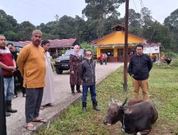 Ratusan Hewan Ternak di Kukar Jalani Diperiksa Jelang Idul Adha