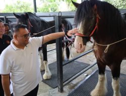 Aulia Rahman Basri Kunjungi Tabang Zoo: Apresiasi Upaya Konservasi Unik di Tengah Kawasan Tambang