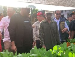 13 Kelompok Tani di Kelurahan Maluhu Dapat Bantuan Pertanian