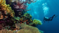 Menyusuri Surga Bahari Berau, Jurnalis Kaltim Angkat Potensi Wisata dan UMKM Lokal