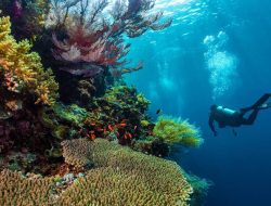 Menyusuri Surga Bahari Berau, Jurnalis Kaltim Angkat Potensi Wisata dan UMKM Lokal